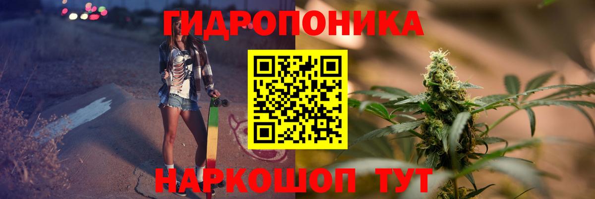 Каннабис сатива Москва